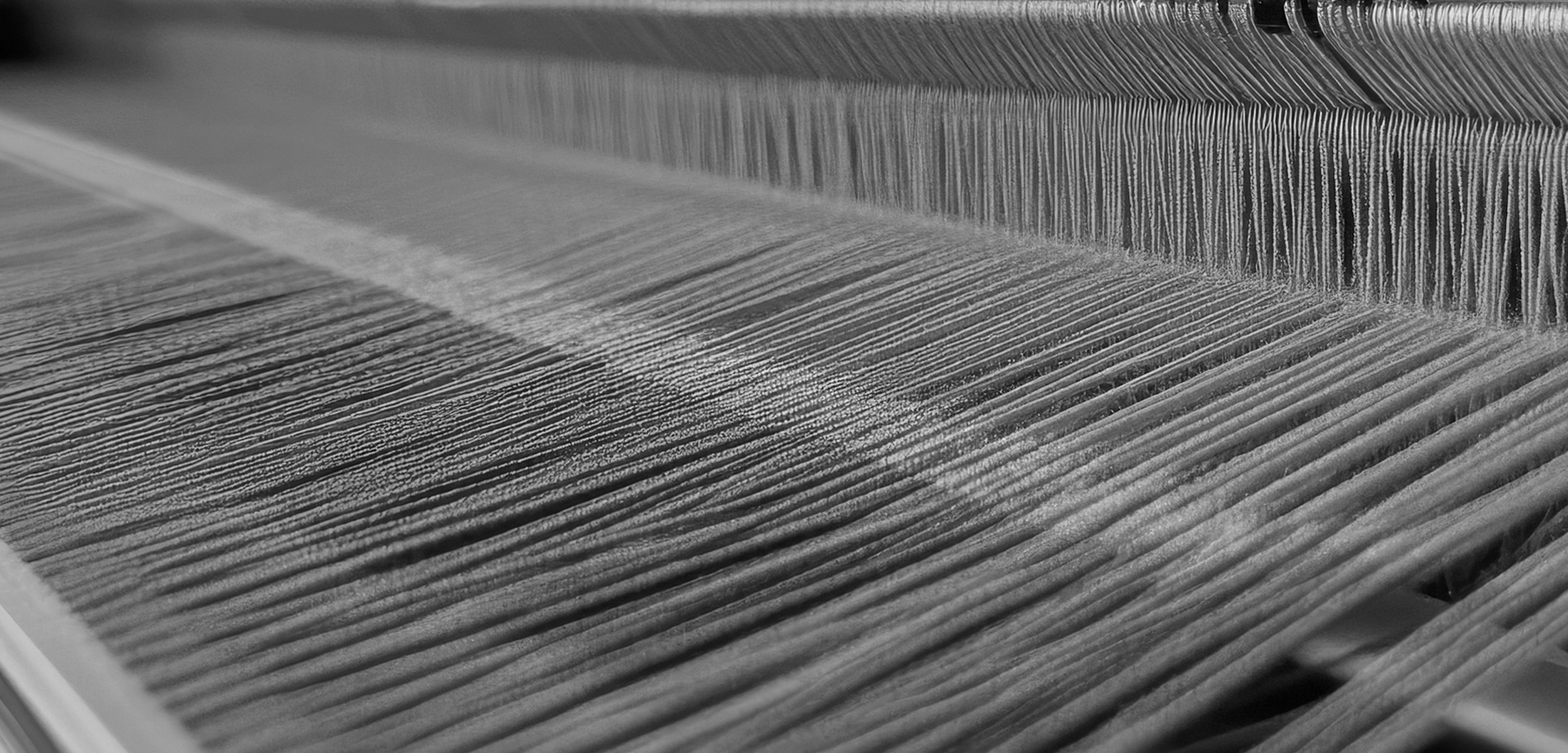 Jiangsu Ruizhi Knitwear Co., Ltd.