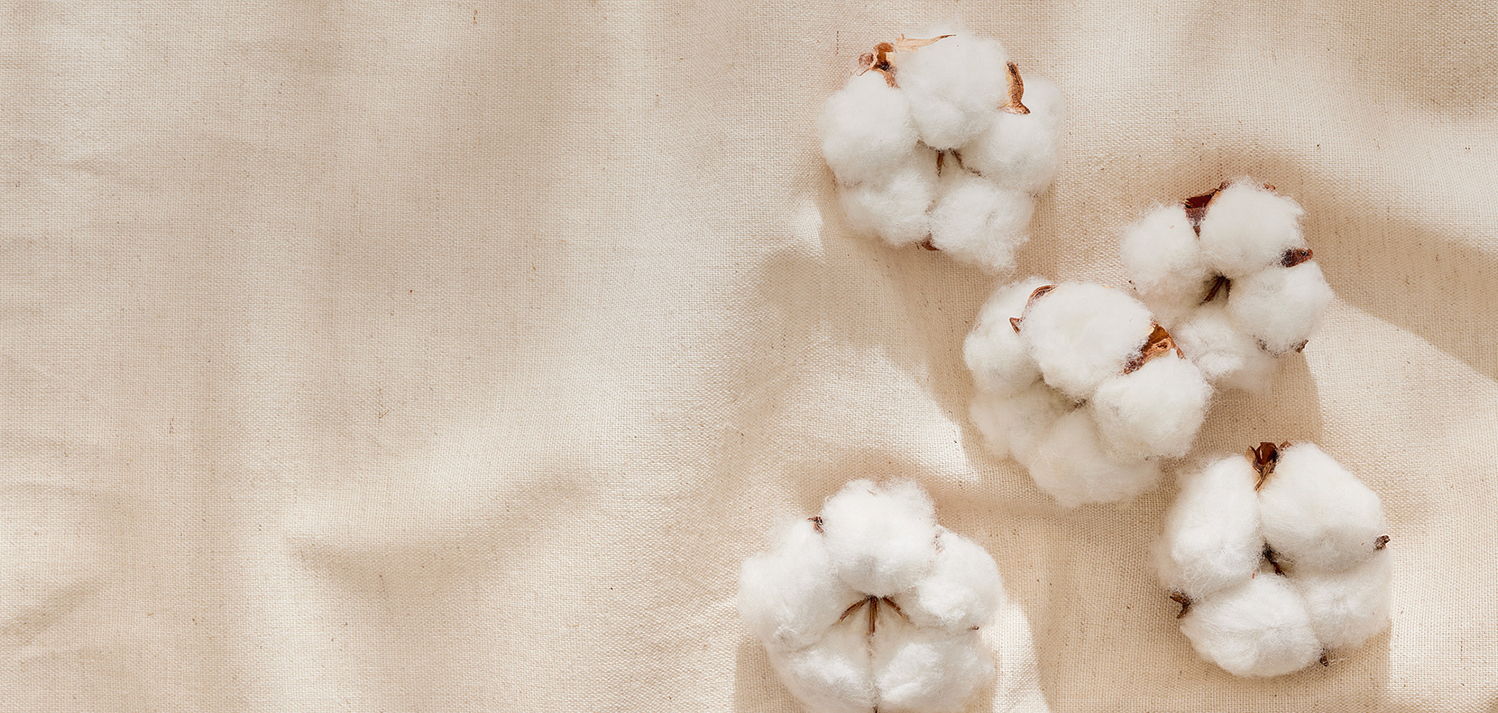 Jiangsu Ruizhi Knitwear Co., Ltd.